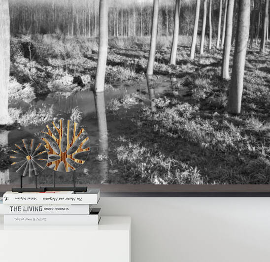 POPLAR GROVE by Mikel Bilbao Photography