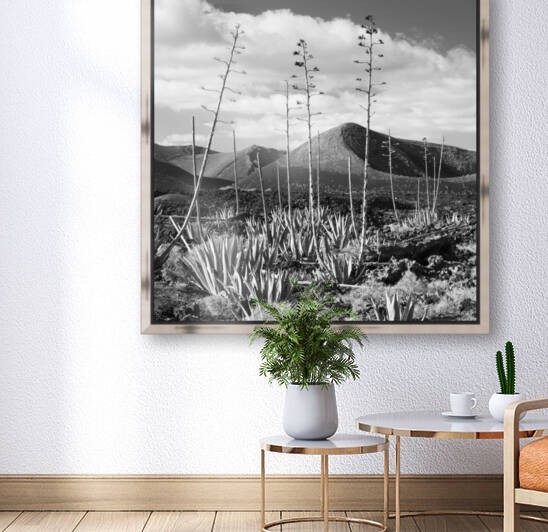 AGAVES & VOLCANOES by Mikel Bilbao Photography
