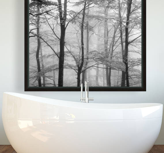 FORESTRY by Mikel Bilbao Photography