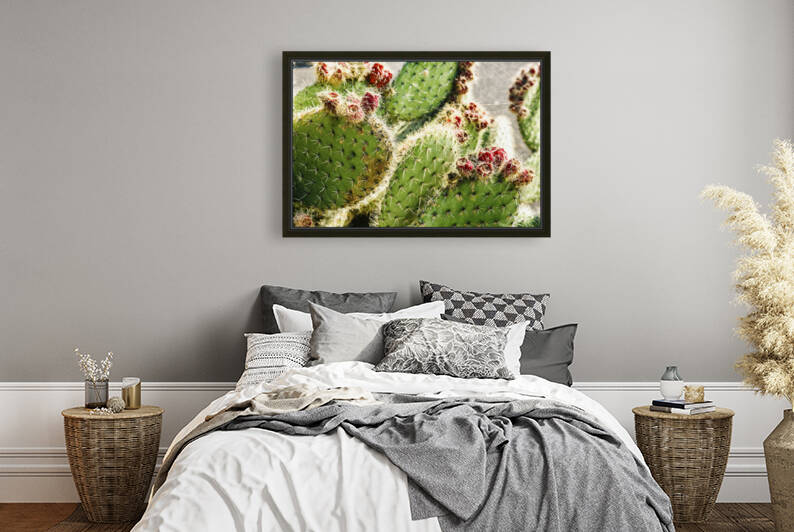 Cactus. Lanzarote Canary Islands Spain 02 by Mikel Bilbao Photography