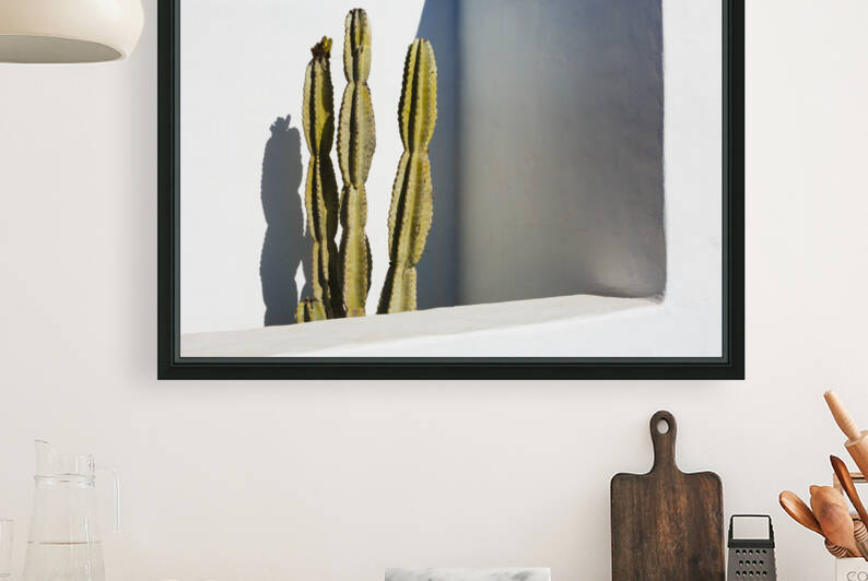 Cactus. Lanzarote Canary Islands Spain 01 by Mikel Bilbao Photography