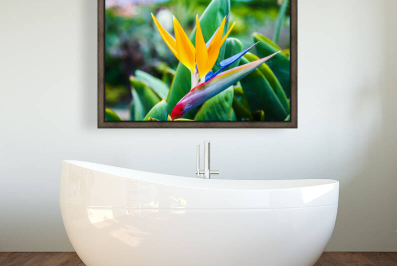 Bird of Paradise flower 01 by Mikel Bilbao Photography