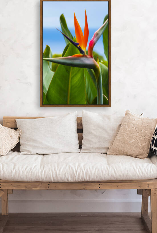 Bird of Paradise flower 02 by Mikel Bilbao Photography