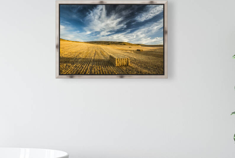 Cereal land. Navarre Spain 01 by Mikel Bilbao Photography