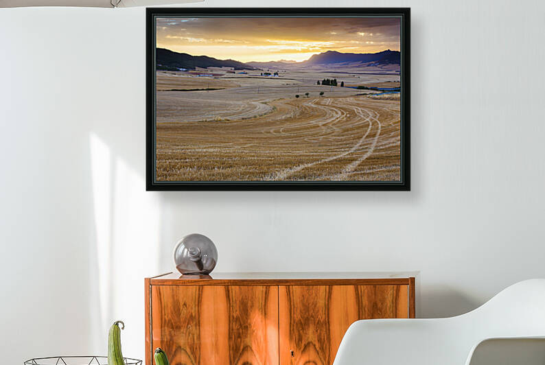 Cereal land. Navarre Spain 03 by Mikel Bilbao Photography
