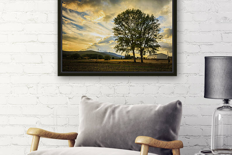 Tree and sky with clouds.  by Mikel Bilbao Photography
