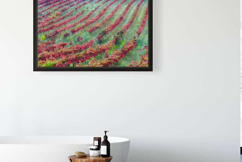 Vineyard in autumn. Navarre Spain 02 by Mikel Bilbao Photography
