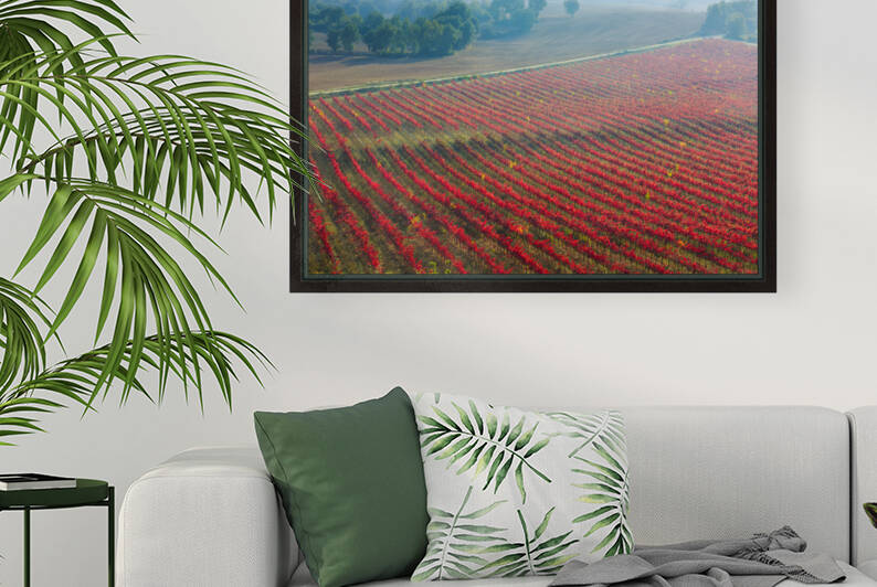 Vineyard in autumn. Navarre Spain 04 by Mikel Bilbao Photography