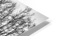 WINTER VIEW III HD Metal print