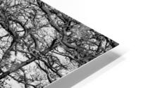 COPSE HD Metal print