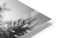 MEADOW HD Metal print