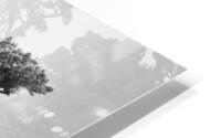 LARRA HD Metal print