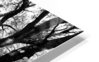 WICKLOW HD Metal print