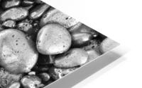 SHINGLES HD Metal print