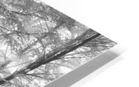 FORESTRY HD Metal print