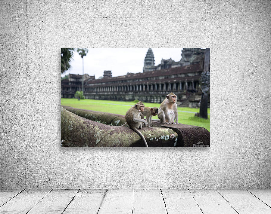 Angkor Wat III Wall Preview