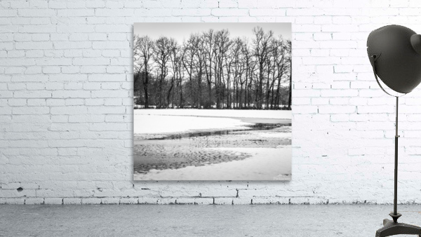 WINTER VIEW III Wall Preview