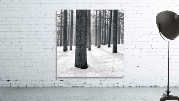 WINTER VIEW II Wall Preview