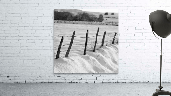 WINTER VIEW Wall Preview