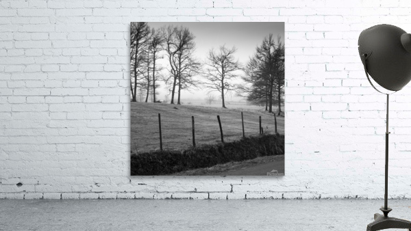 MEADOW Wall Preview
