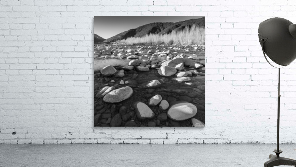 ARA RIVER Wall Preview