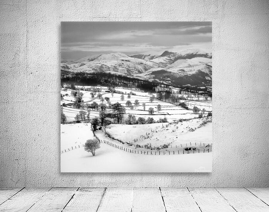 WINTER VIEW Wall Preview