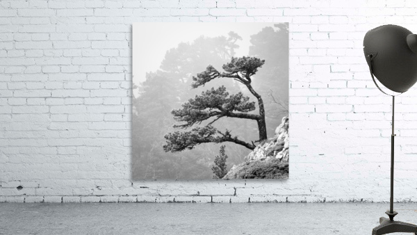 LARRA Wall Preview