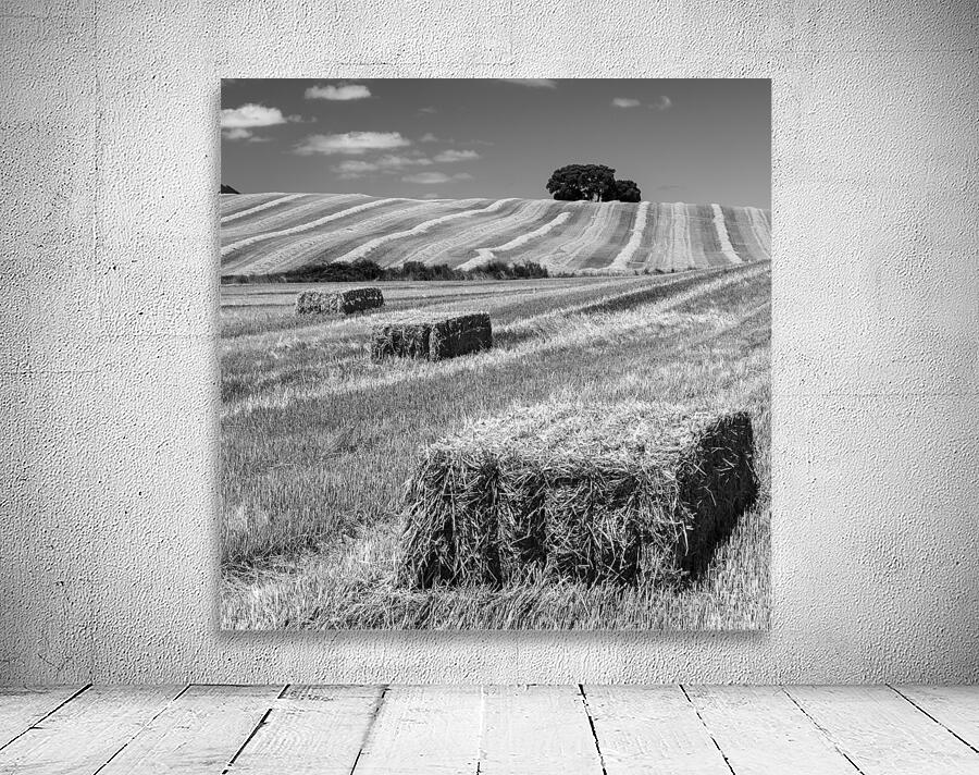 CEREAL LAND Wall Preview