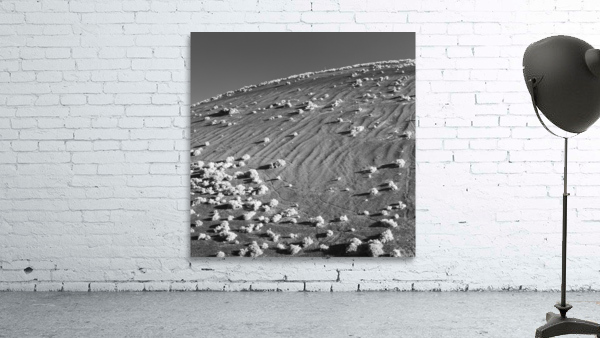 TIMANFAYA  Wall Preview