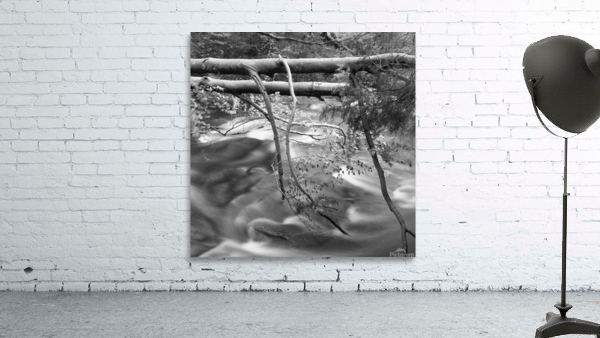 BAIAS RIVER Wall Preview