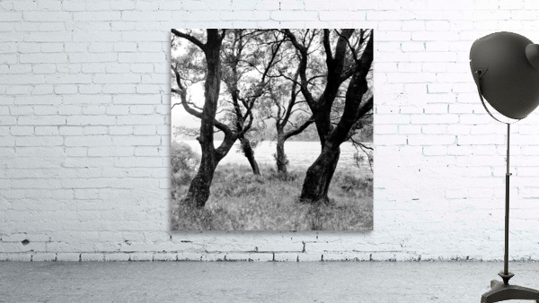 WICKLOW Wall Preview