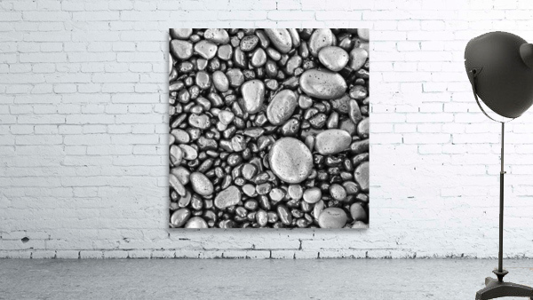 SHINGLES Wall Preview