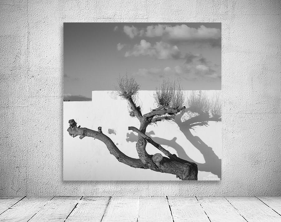 LONELY TREE Wall Preview