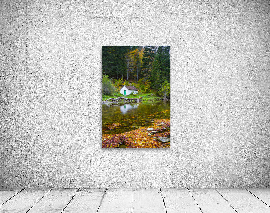 Cabin in Irati Forest 02 Wall Preview
