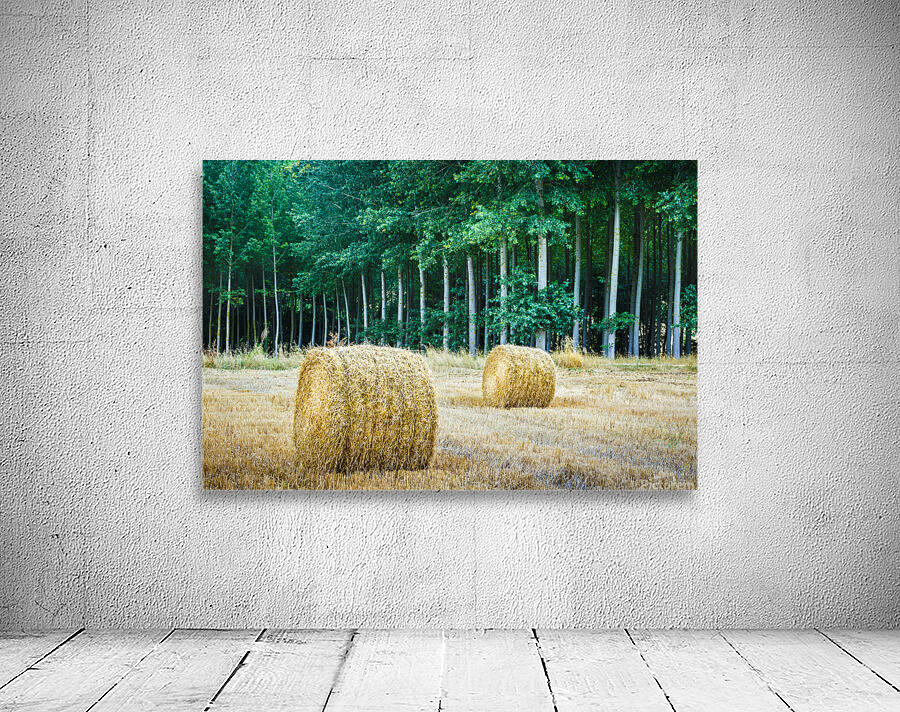 Wheat bales. Spain. Wall Preview