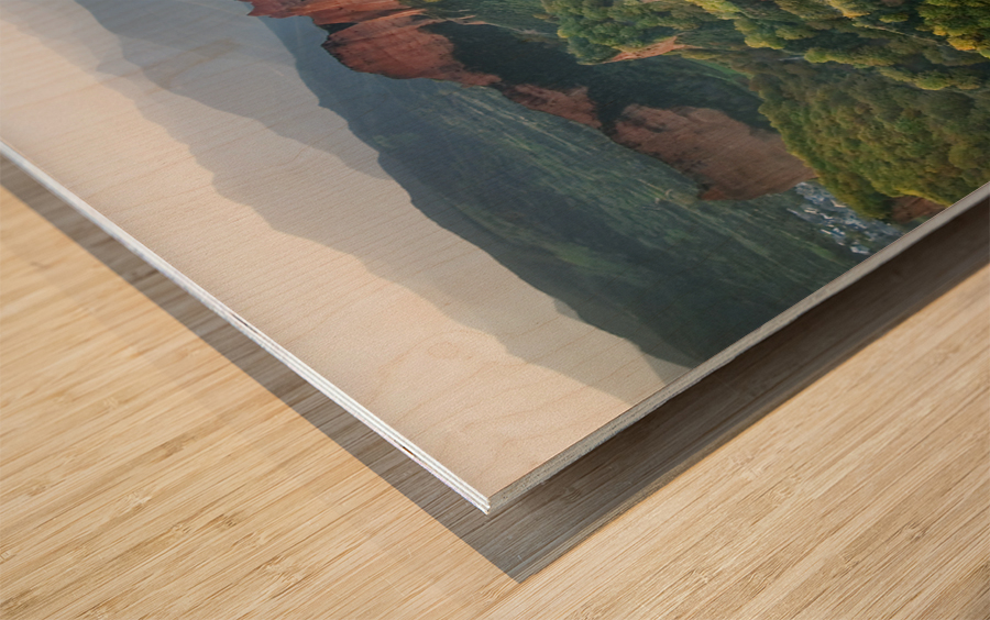 Las Medulas I Wood print