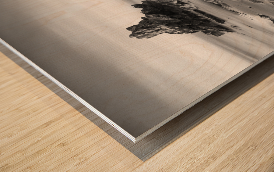 ATXABIRIBIL BEACH Wood print
