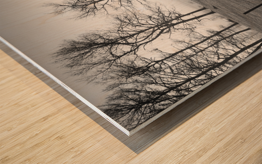 MEADOW Wood print