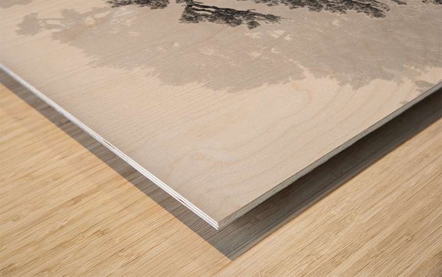 LARRA Wood print