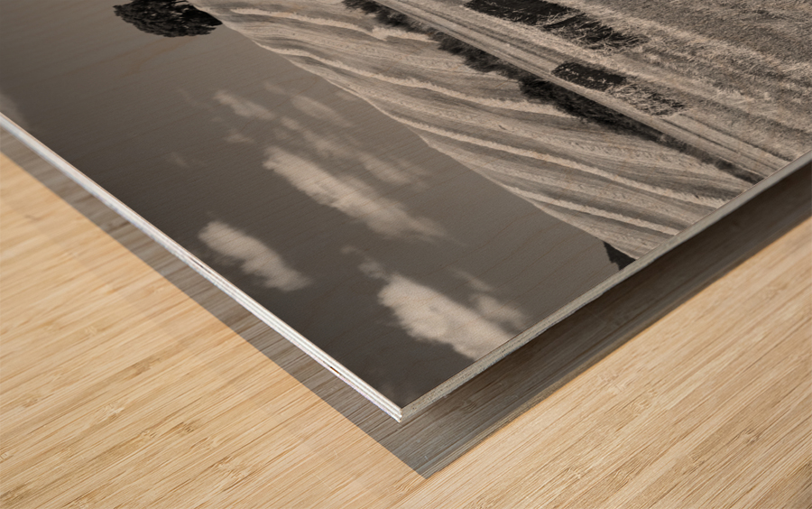CEREAL LAND Wood print