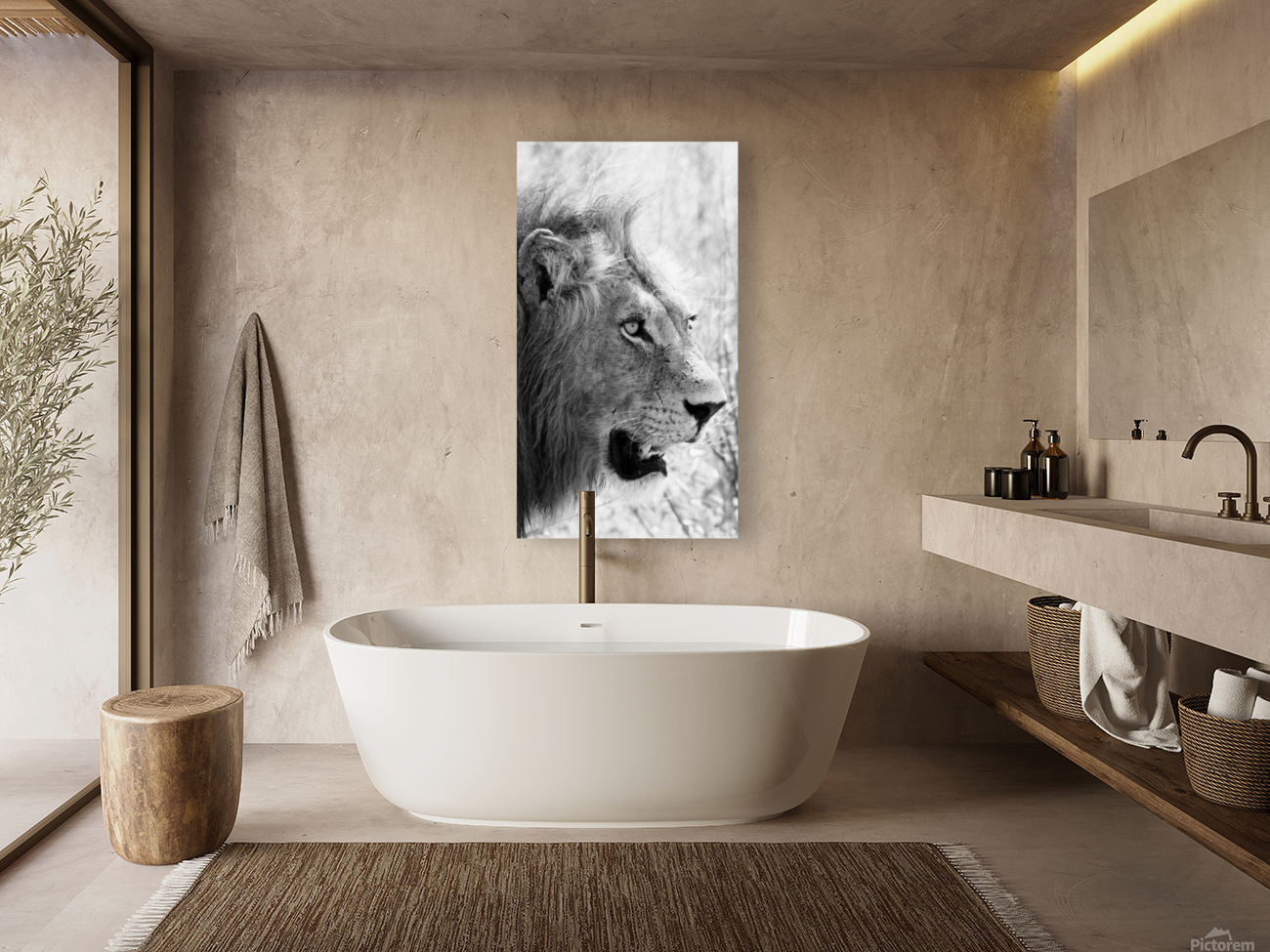 Stunning Lion  Reproduction