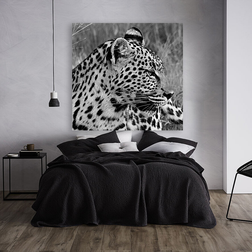 Leopard side profile  Reproduction