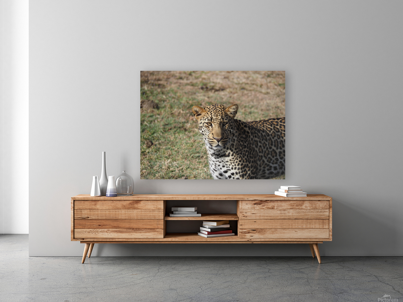 Passive leopard  Reproduction