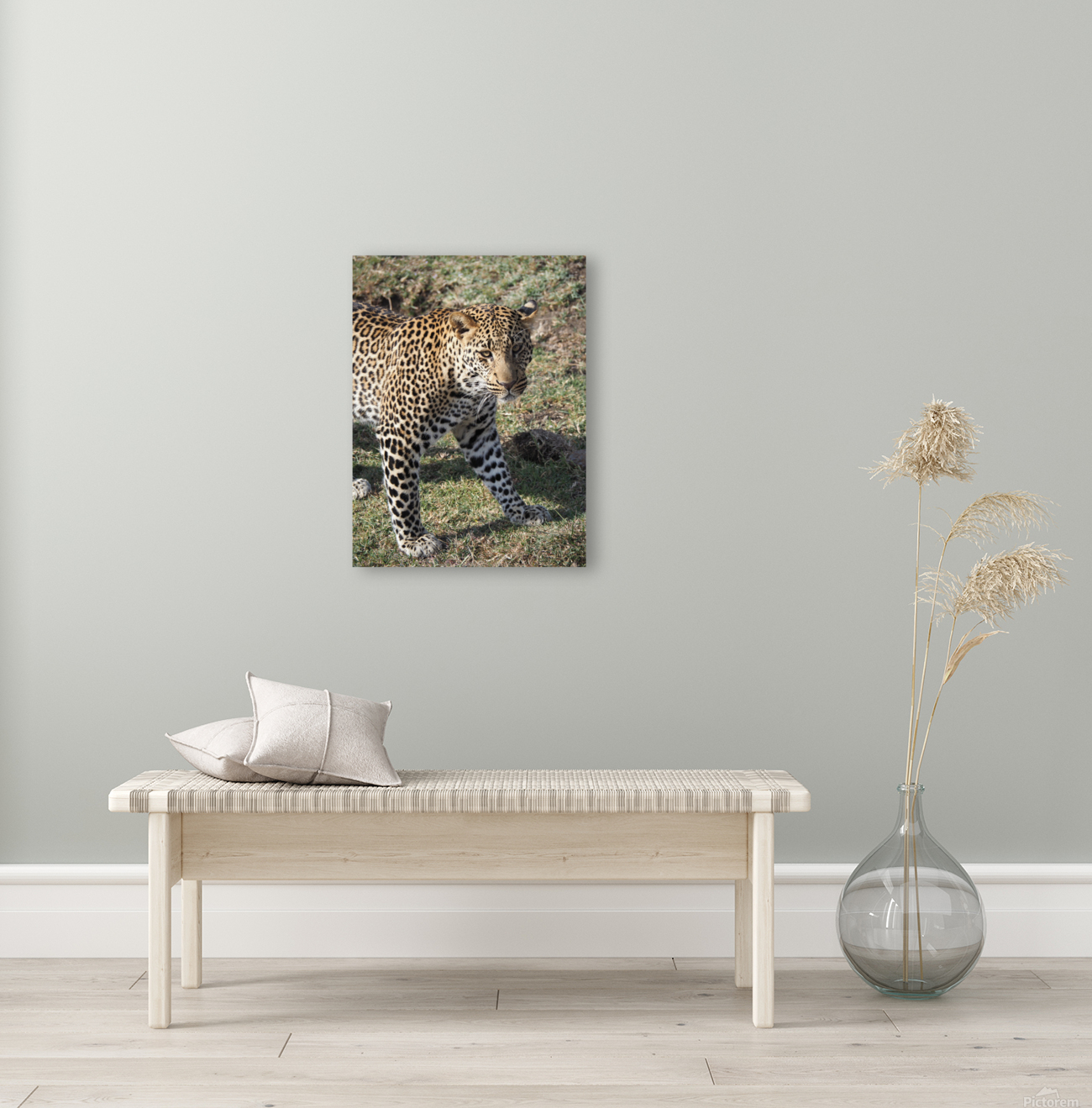 Leopard look  Reproduction