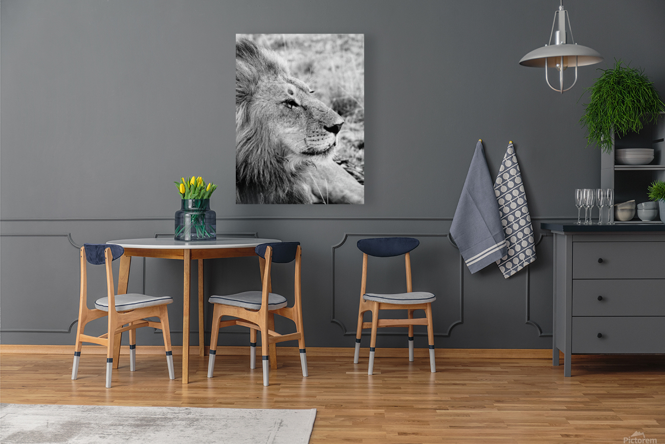 Passive Lion Reproduction