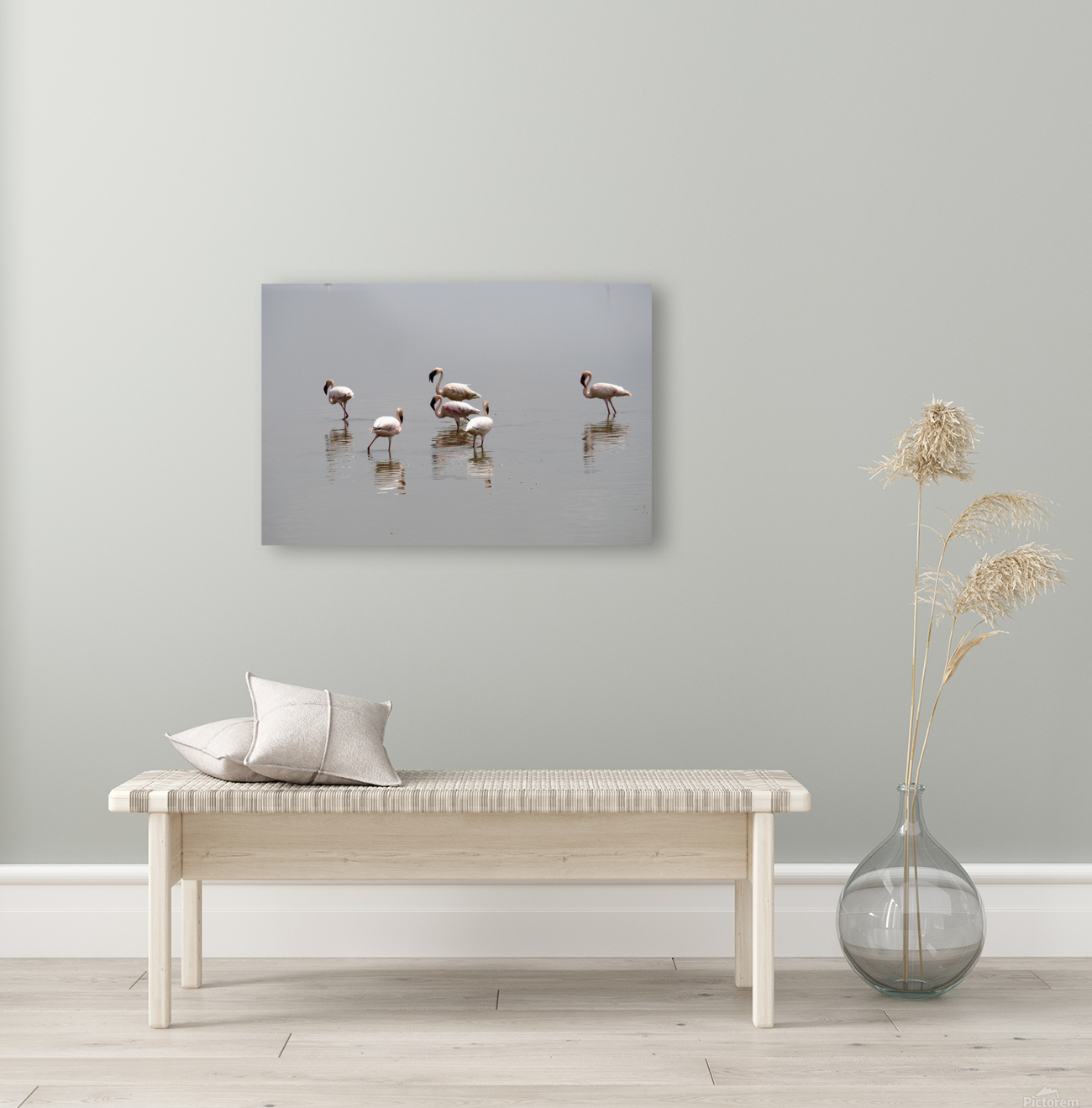 Flamingo  Reproduction