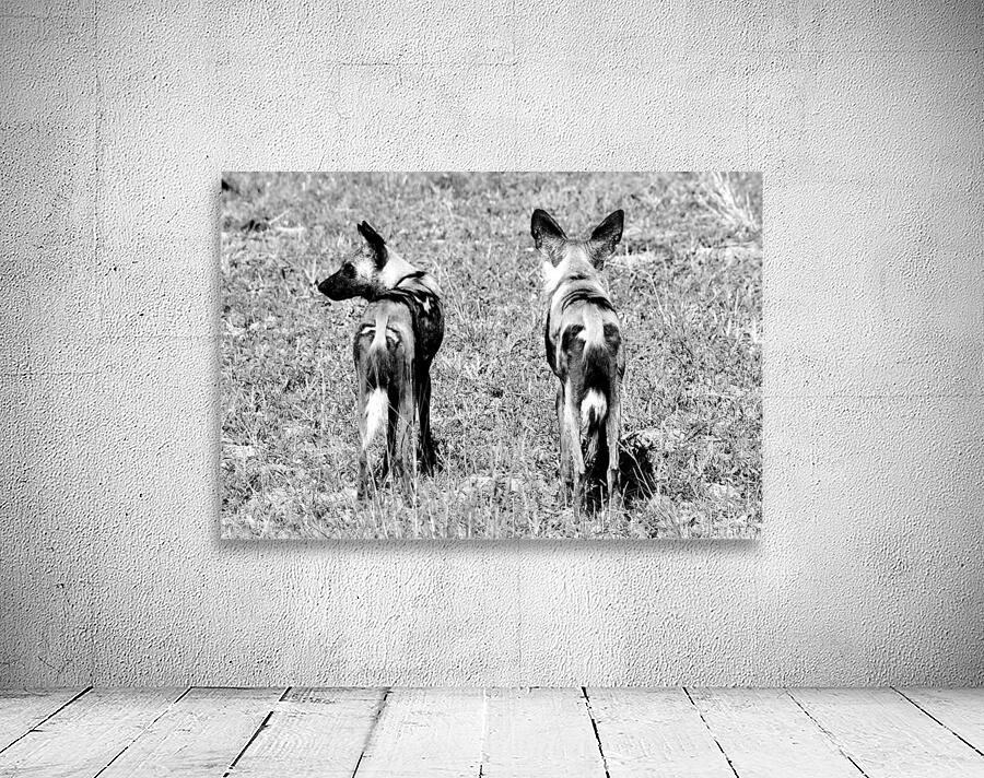 Painted Dogs  Wall Preview