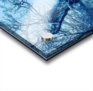 Winter Acrylic print