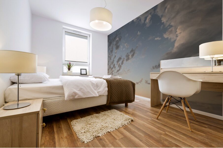 Sagres Sunset Mural print