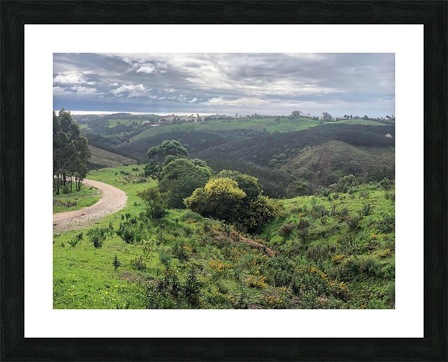  Fine Art print